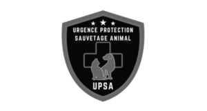 Association UPSA
